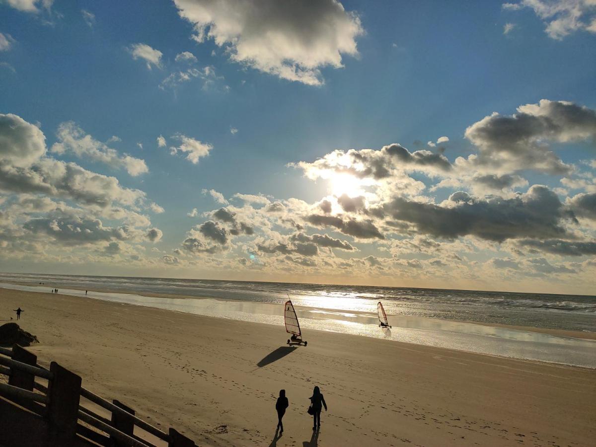 Apartment Superbe Cosy, 50m De La Plage, 4 Pers, Vue Cote *